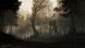 Игра GreedFall [PS4, русские субтитры] в Подольске