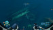 Игра Subnautica: Below Zero [PS5, русские субтитры] в Подольске