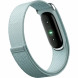Фитнес-браслет Google Fitbit Air (Серо-голубой/Fog) в Подольске