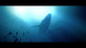 Игра Under The Waves [PS4, русские субтитры] в Подольске