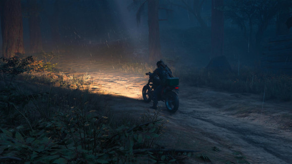 Игра Жизнь После (Days Gone) [PS4, русская версия] в Подольске