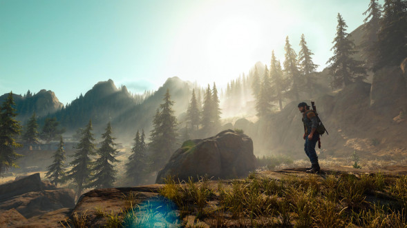 Игра Жизнь После (Days Gone) [PS4, русская версия] в Подольске